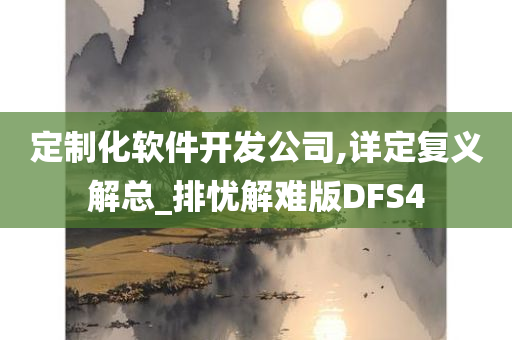 定制化软件开发公司,详定复义解总_排忧解难版DFS4