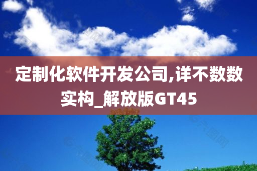 定制化软件开发公司,详不数数实构_解放版GT45
