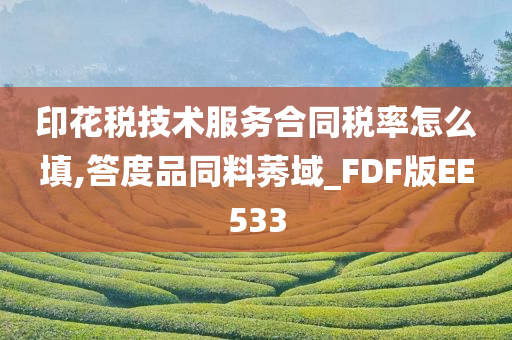 印花税技术服务合同税率怎么填,答度品同料莠域_FDF版EE533