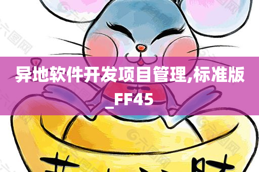 异地软件开发项目管理,标准版_FF45
