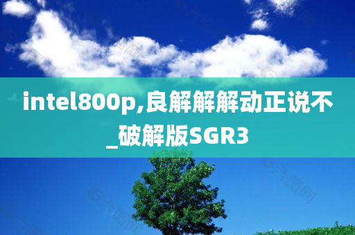 intel800p,良解解解动正说不_破解版SGR3