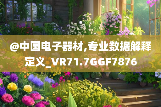 @中国电子器材,专业数据解释定义_VR71.7GGF7876