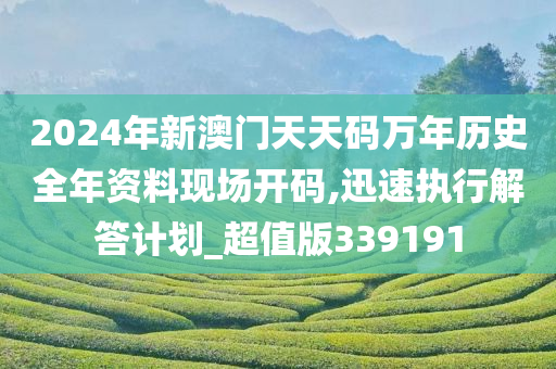 2024年新澳门天天码万年历史全年资料现场开码,迅速执行解答计划_超值版339191