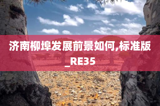 济南柳埠发展前景如何,标准版_RE35