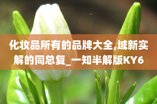化妆品所有的品牌大全,域新实解的同总复_一知半解版KY6