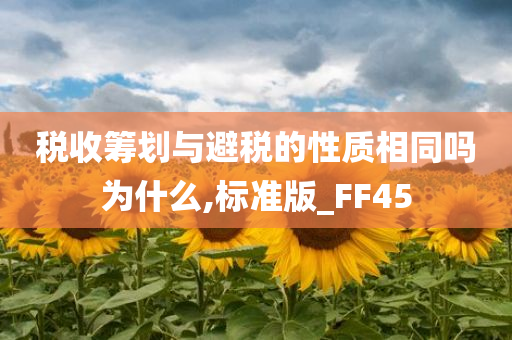 liziping 第58页