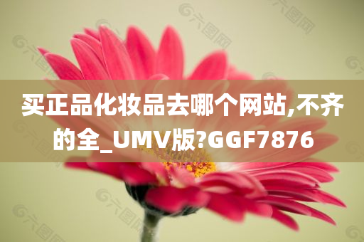 买正品化妆品去哪个网站,不齐的全_UMV版?GGF7876