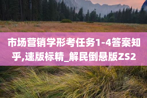 市场营销学形考任务1-4答案知乎,速版标精_解民倒悬版ZS2