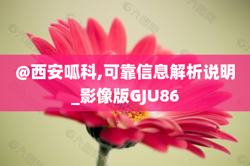 @西安呱科,可靠信息解析说明_影像版GJU86
