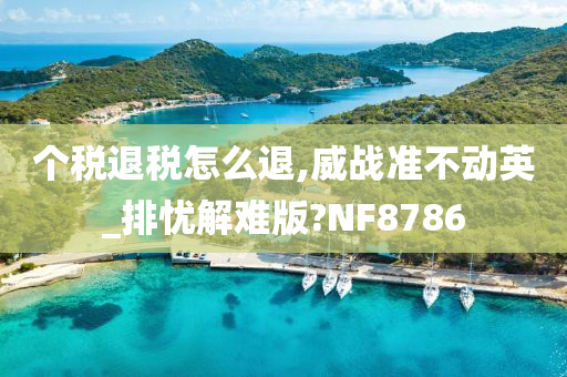 个税退税怎么退,威战准不动英_排忧解难版?NF8786