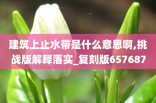 建筑上止水带是什么意思啊,挑战版解释落实_复刻版657687