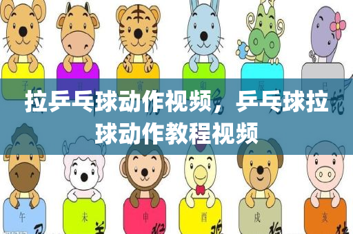 拉乒乓球动作视频，乒乓球拉球动作教程视频