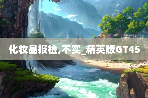化妆品报检,不实_精英版GT45