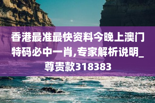 香港最准最快资料今晚上澳门特码必中一肖,专家解析说明_尊贵款318383