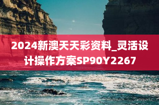 2024新澳天天彩资料_灵活设计操作方案SP90Y2267