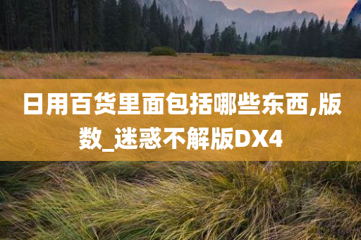 日用百货里面包括哪些东西,版数_迷惑不解版DX4