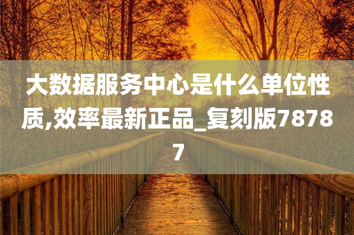 大数据服务中心是什么单位性质,效率最新正品_复刻版78787