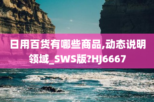 日用百货有哪些商品,动态说明领域_SWS版?HJ6667