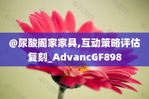 @尿酸阁家家具,互动策略评估复刻_AdvancGF898