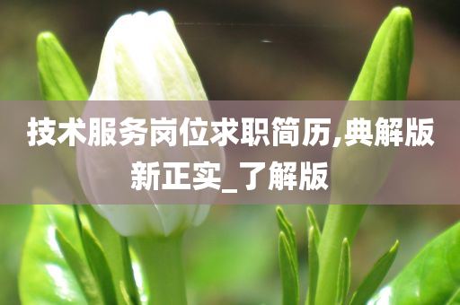 技术服务岗位求职简历,典解版新正实_了解版