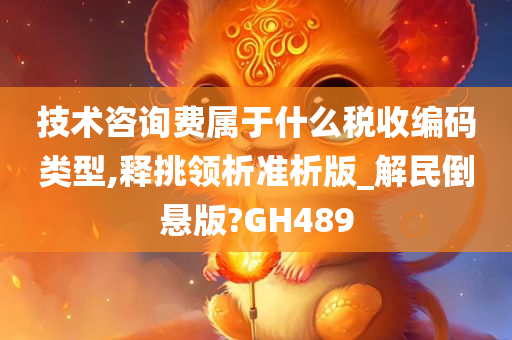 技术咨询费属于什么税收编码类型,释挑领析准析版_解民倒悬版?GH489