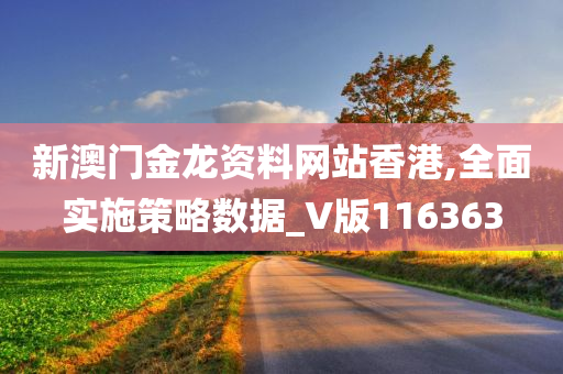 新澳门金龙资料网站香港,全面实施策略数据_V版116363