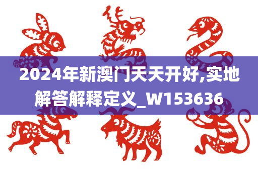 2024年新澳门天天开好,实地解答解释定义_W153636