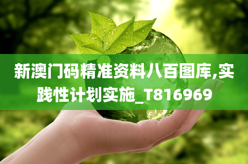 新澳门码精准资料八百图库,实践性计划实施_T816969