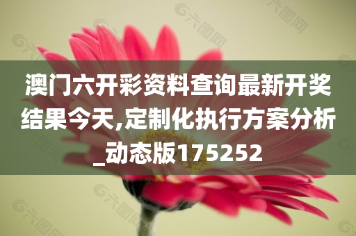 澳门六开彩资料查询最新开奖结果今天,定制化执行方案分析_动态版175252
