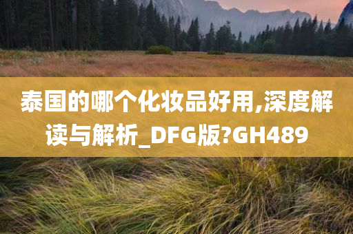 泰国的哪个化妆品好用,深度解读与解析_DFG版?GH489