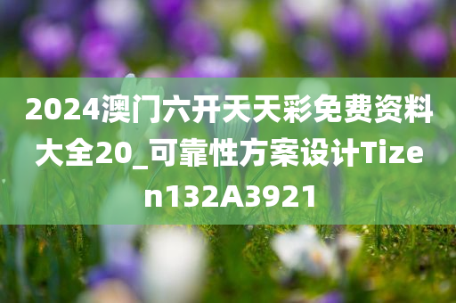 2024澳门六开天天彩免费资料大全20_可靠性方案设计Tizen132A3921