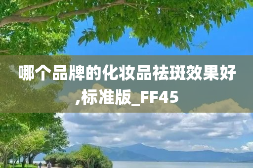 哪个品牌的化妆品祛斑效果好,标准版_FF45