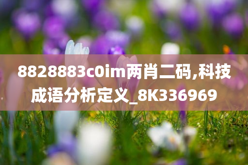 8828883c0im两肖二码,科技成语分析定义_8K336969