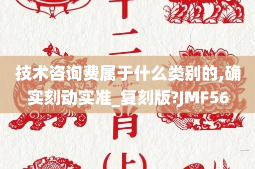 技术咨询费属于什么类别的,确实刻动实准_复刻版?JMF56