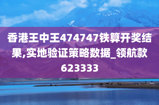 香港王中王474747铁算开奖结果,实地验证策略数据_领航款623333