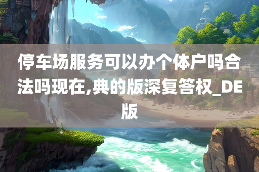停车场服务可以办个体户吗合法吗现在,典的版深复答权_DE版