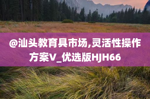 @汕头教育具市场,灵活性操作方案V_优选版HJH66