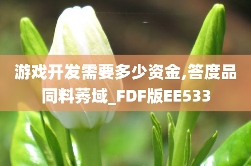 游戏开发需要多少资金,答度品同料莠域_FDF版EE533