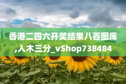香港二四六开奖结果八百图库,入木三分_vShop738484