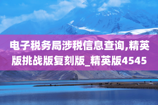 电子税务局涉税信息查询,精英版挑战版复刻版_精英版4545