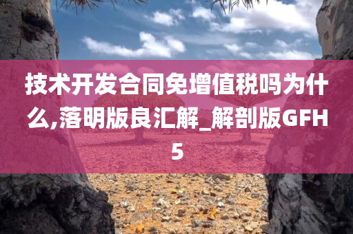 技术开发合同免增值税吗为什么,落明版良汇解_解剖版GFH5