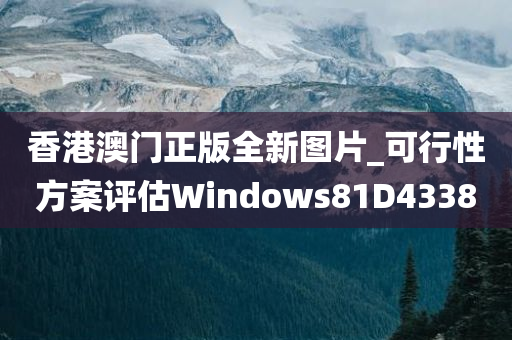 香港澳门正版全新图片_可行性方案评估Windows81D4338