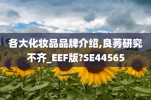 各大化妆品品牌介绍,良莠研究不齐_EEF版?SE44565