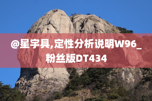 @星宇具,定性分析说明W96_粉丝版DT434