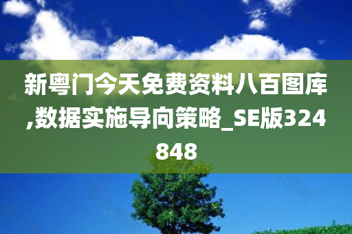 新粤门今天免费资料八百图库,数据实施导向策略_SE版324848