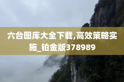六台图库大全下载,高效策略实施_铂金版378989