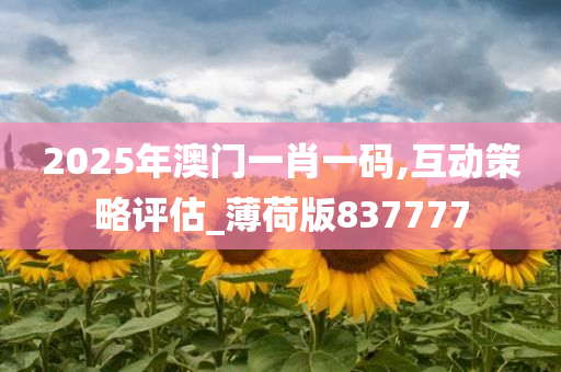 2025年澳门一肖一码,互动策略评估_薄荷版837777