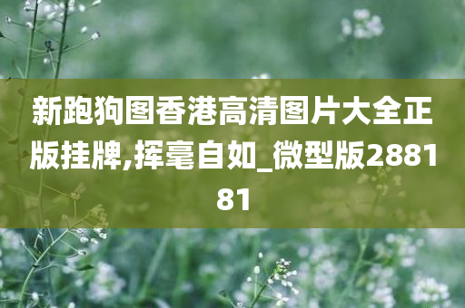 新跑狗图香港高清图片大全正版挂牌,挥毫自如_微型版288181