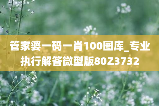 管家婆一码一肖100图库_专业执行解答微型版80Z3732