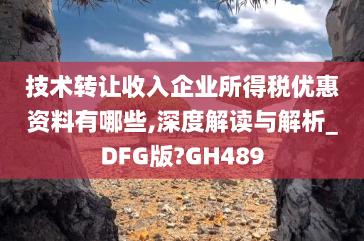 技术转让收入企业所得税优惠资料有哪些,深度解读与解析_DFG版?GH489